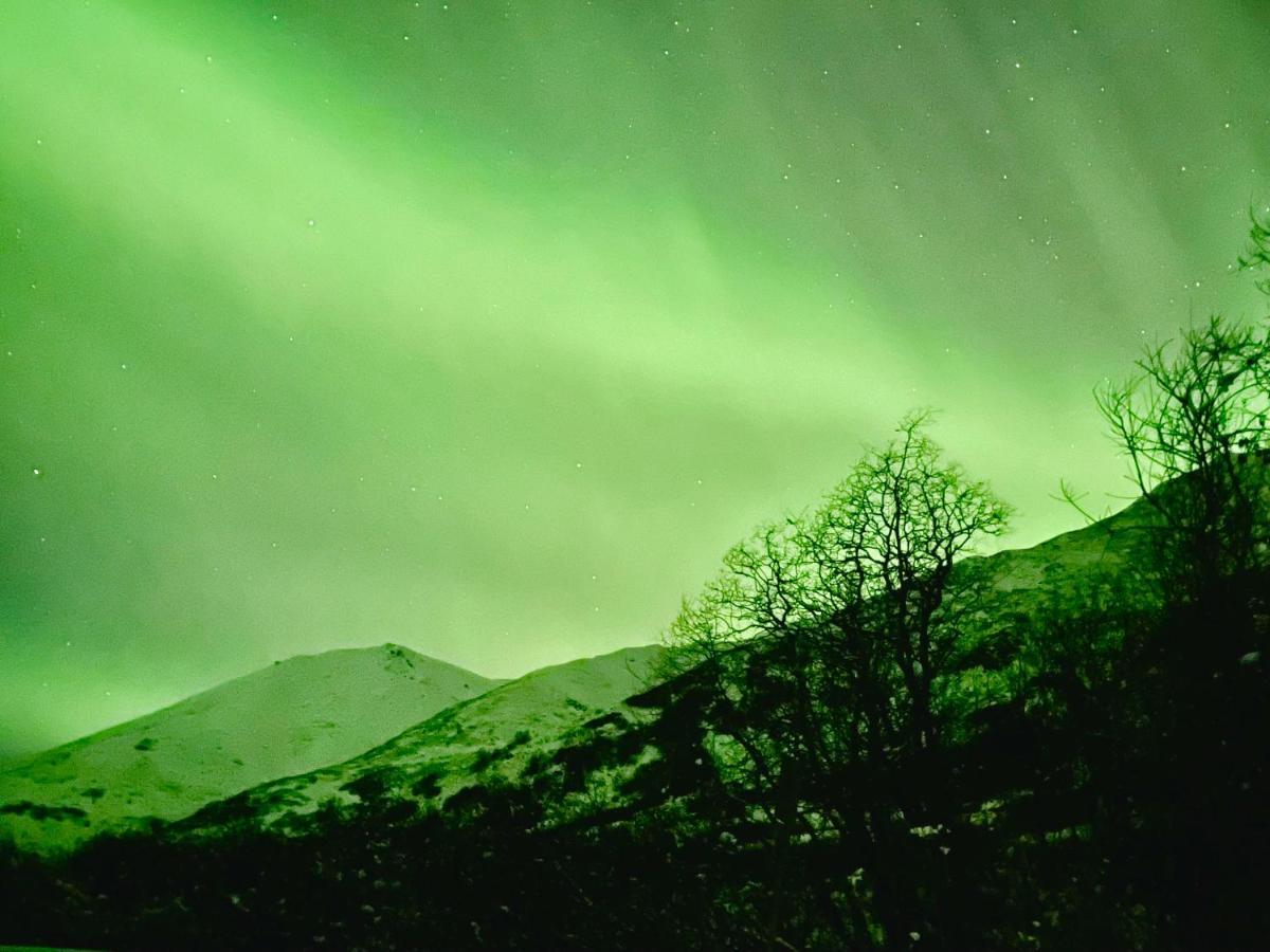 Апартаменты Beautiful And Comfy Palmer Gem Near Hatcher Pass Василла Экстерьер фото