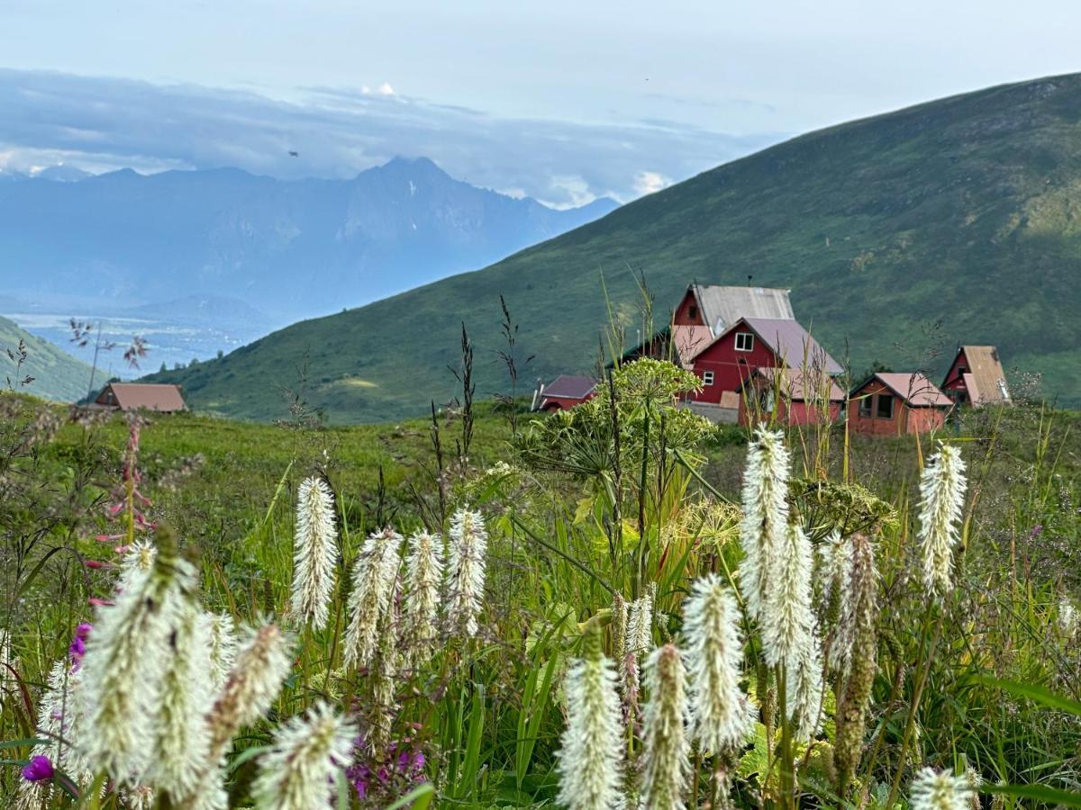 Апартаменты Beautiful And Comfy Palmer Gem Near Hatcher Pass Василла Экстерьер фото